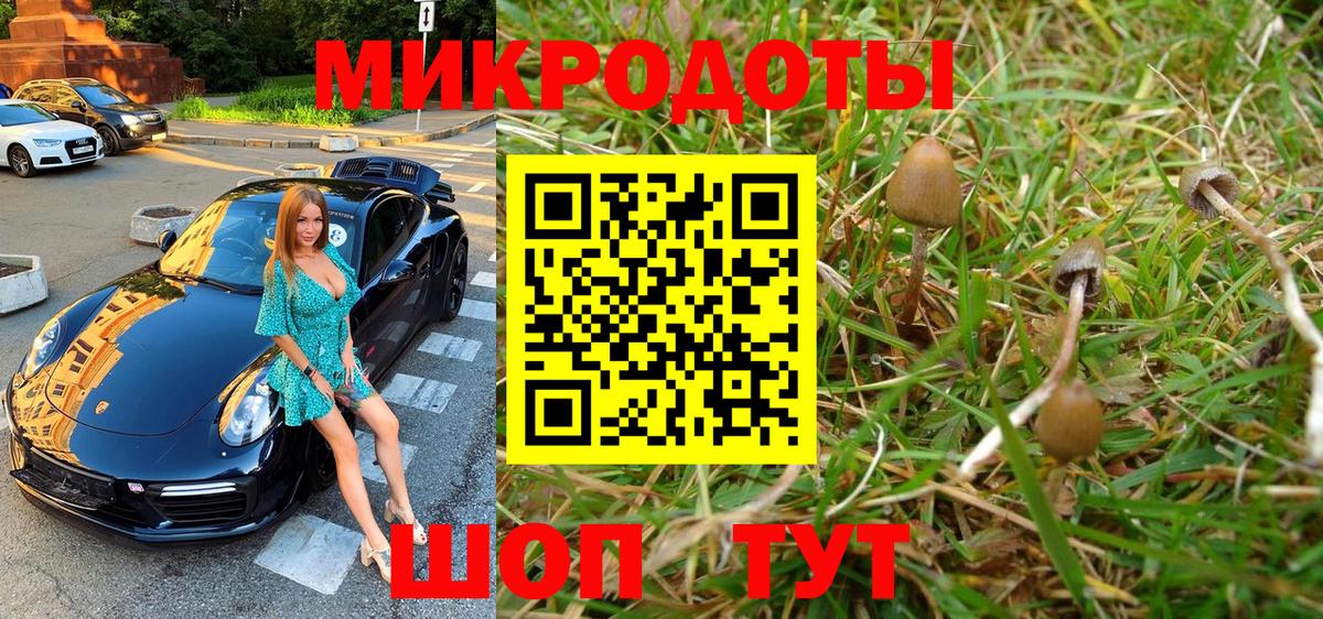 Печора  Галлюциногенные грибы Cubensis  купить наркотик  Вход с VPN 