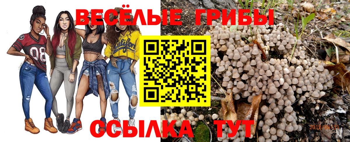 Псилоцибиновые грибы Cubensis Печора